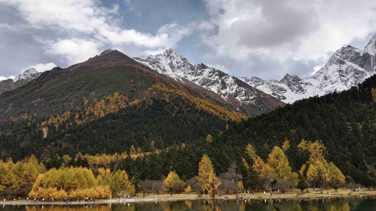 hao zeng (zenghao60) Farcaster social identity (Fname handle) PFP