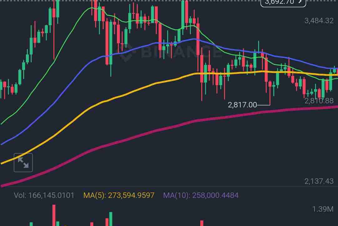 Situweb (situweb) Farcaster social identity (Fname handle) PFP