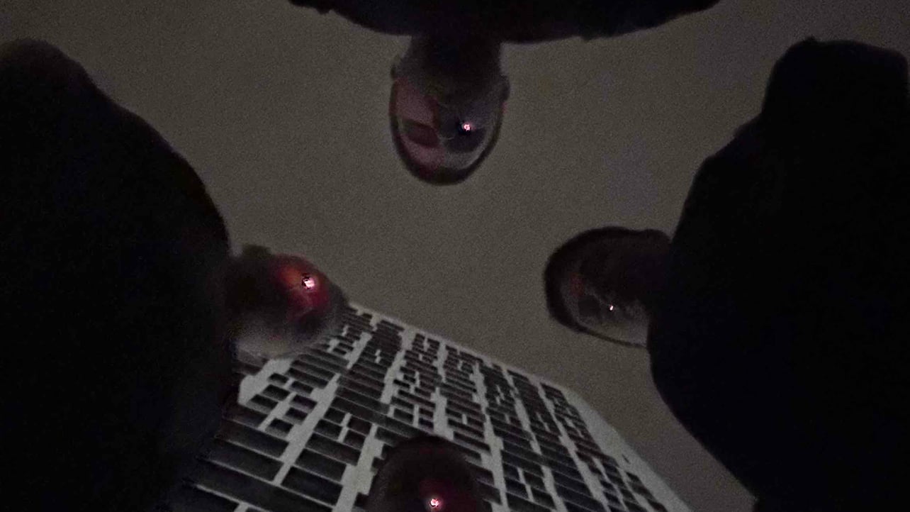 Ihor (ppasta1337) Farcaster social identity (Fname handle) PFP