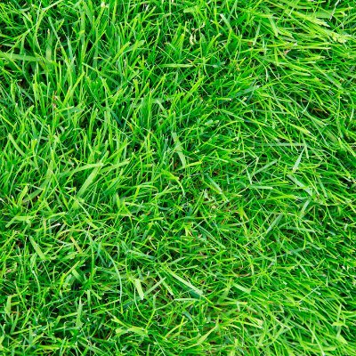 luigi.linea.eth Linea Name Service (.linea.eth domains) based on ENS PFP