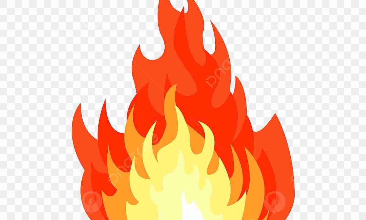 xnk (xnk35.lens) Lens social identity (.lens handle) PFP