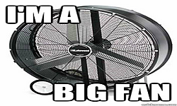 bigfan pfp