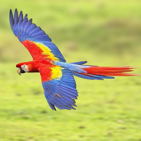 John Takpor (nuket) Farcaster social identity (Fname handle) PFP