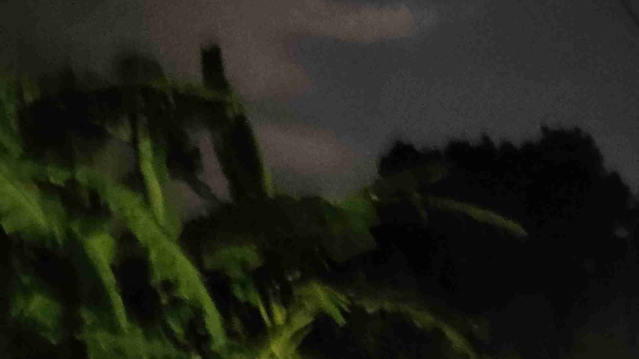 Shahil Roy "base.eth" (bitcooin) Farcaster social identity (Fname handle) PFP