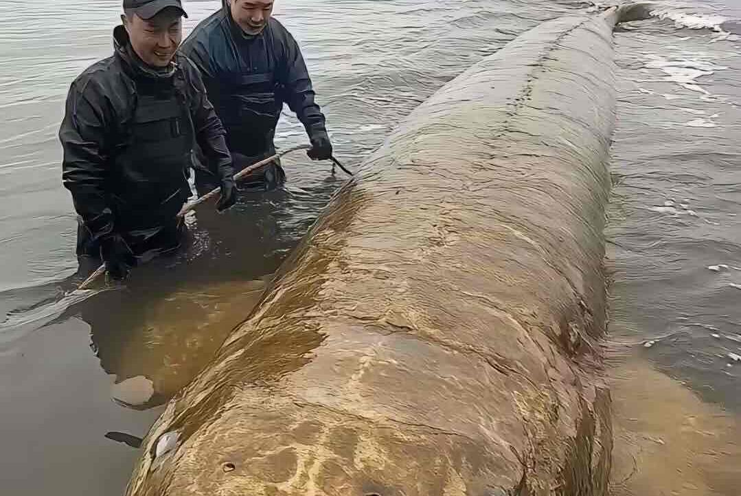 hsjw (iooeok) Farcaster social identity (Fname handle) PFP