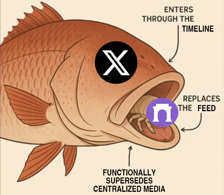 Embed from @nfthinker