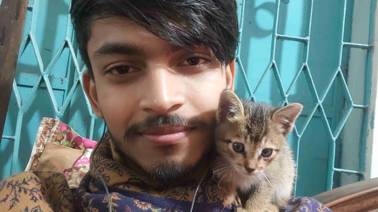 Nafis Hossain pfp