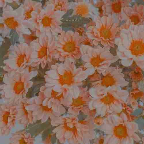 TomAnn (tomann) Farcaster social identity (Fname handle) PFP