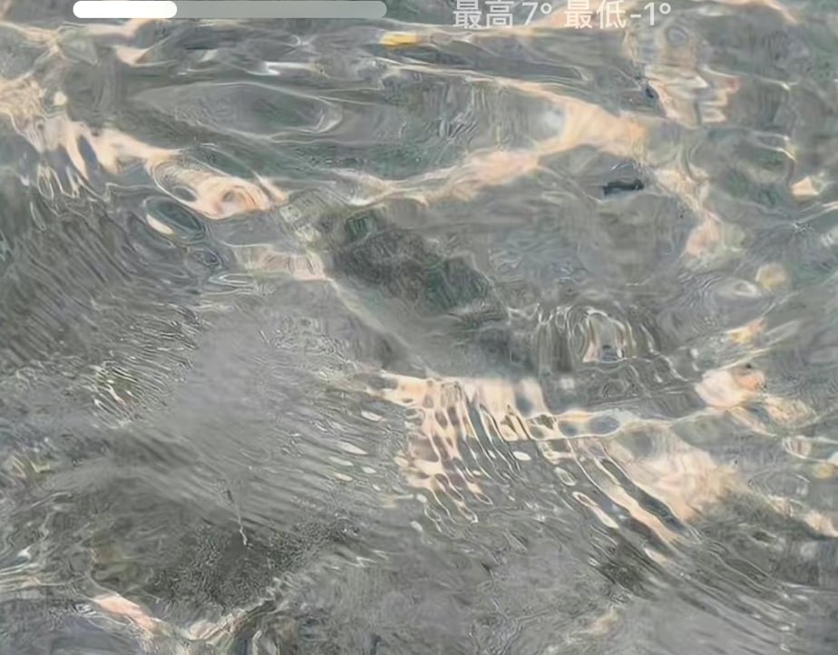 jjfghg.lens Lens social identity (.lens handle) PFP