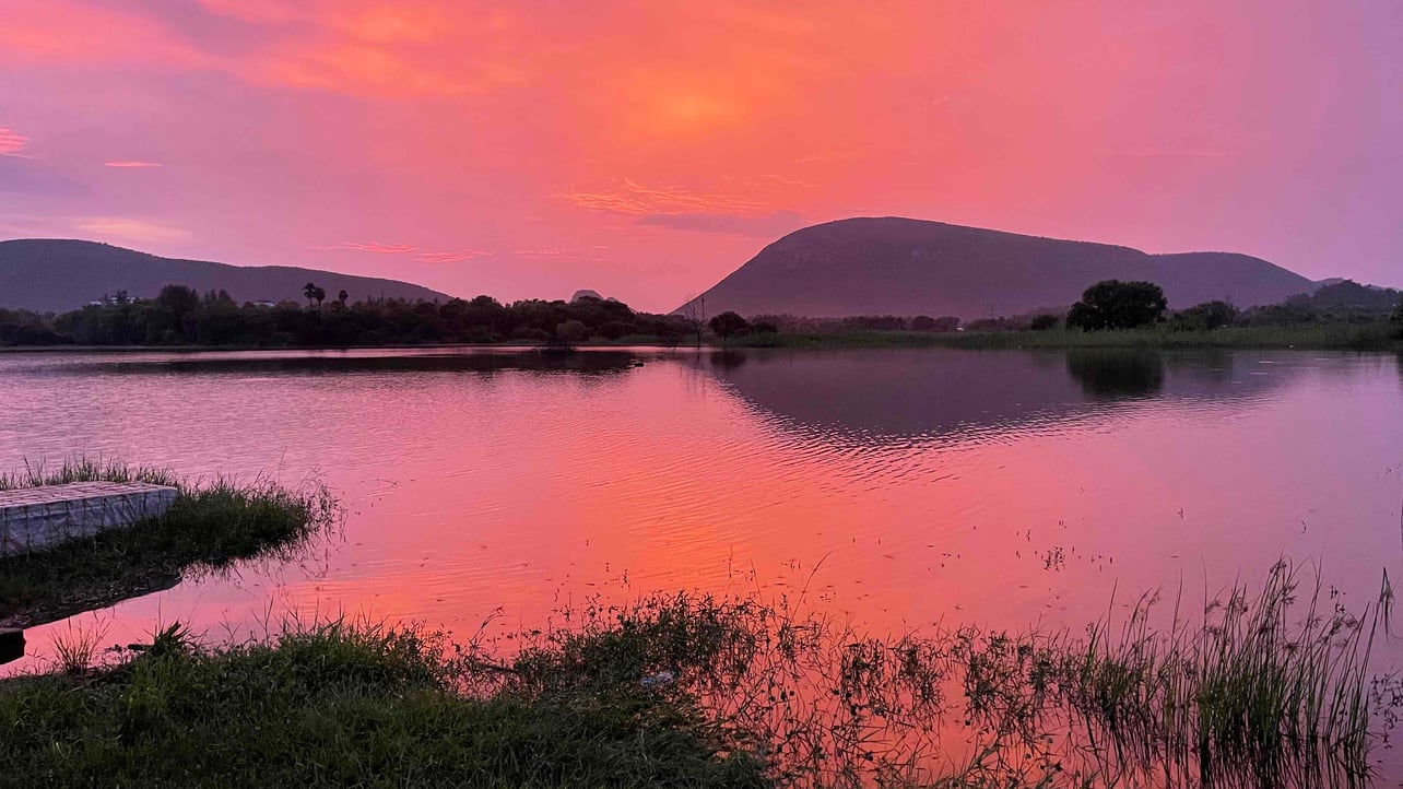 varrenaveen.lens Lens social identity (.lens handle) PFP