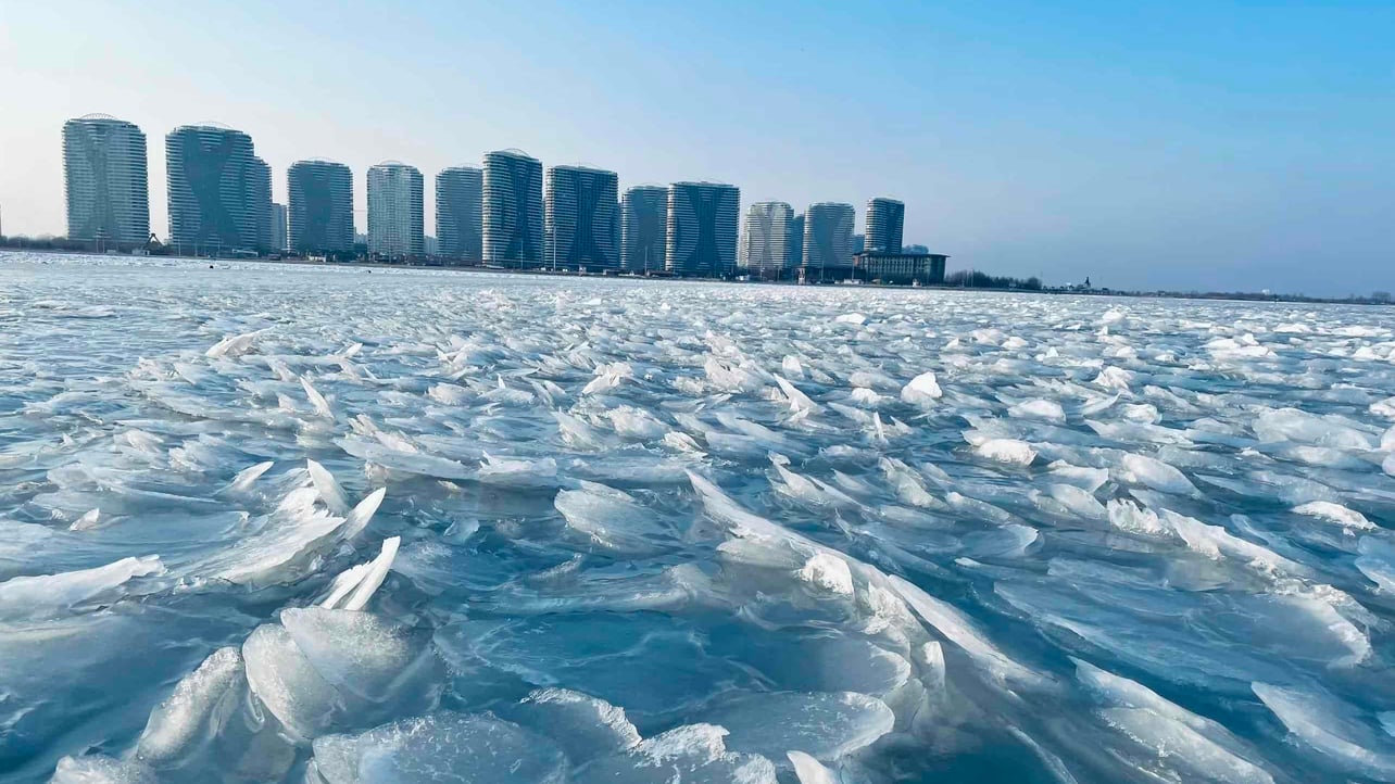 yasion.lens Lens social identity (.lens handle) PFP