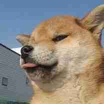 tupaskreilsx Farcaster social identity (Fname handle) PFP