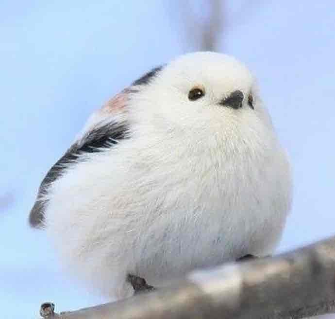 warm pfp