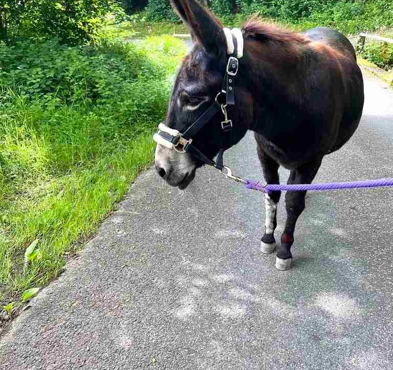 Joseph Davison-Turner (jemma01) Farcaster social identity (Fname handle) PFP