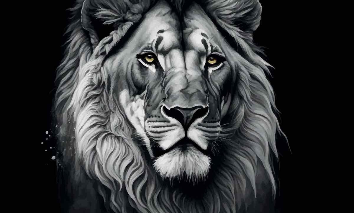 leosidorov.lens Lens social identity (.lens handle) PFP