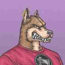 vannabelian (vannabelian.lens) Lens social identity (.lens handle) PFP