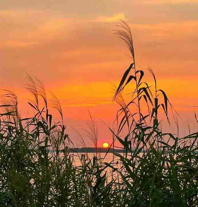 GHJKL (zhsnxb) Farcaster social identity (Fname handle) PFP