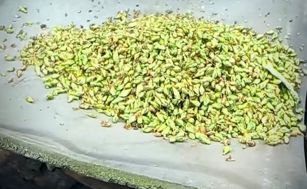 sunwukong8 Farcaster social identity (Fname handle) PFP