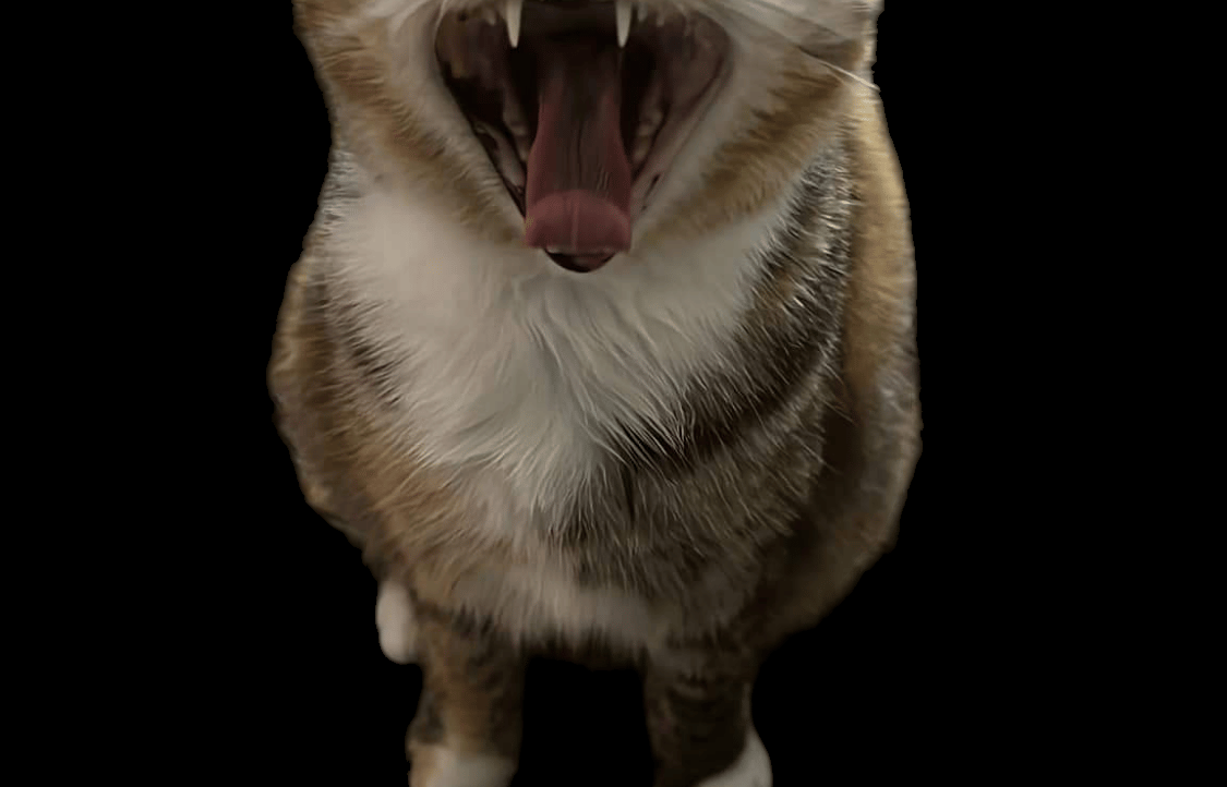 Zatoshi (zatoshinofomoto) Farcaster social identity (Fname handle) PFP