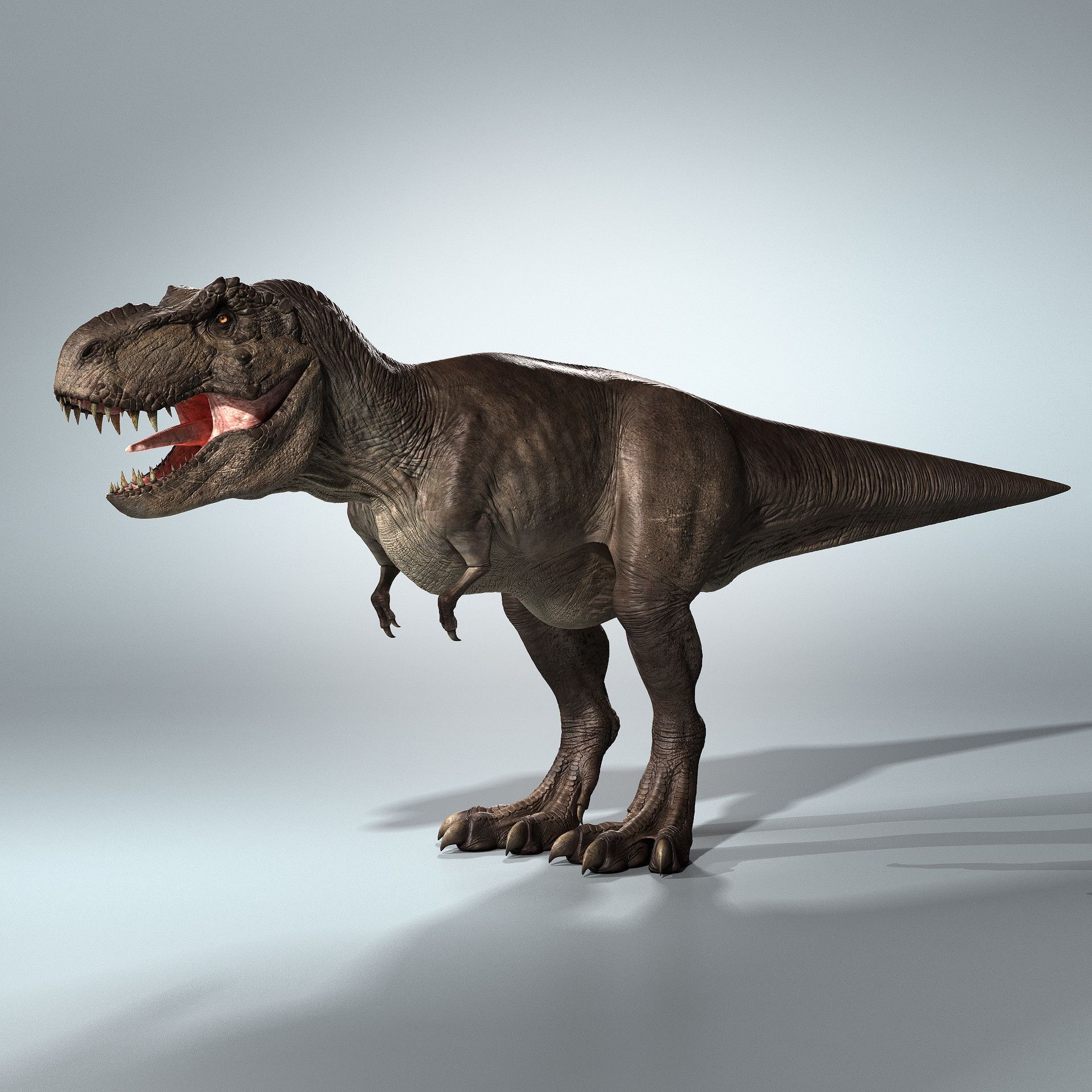 HugePapa (hugepapa) Farcaster social identity (Fname handle) PFP