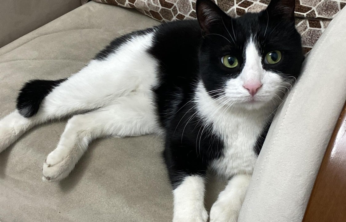 Heisenberg (polheisenberg) Farcaster social identity (Fname handle) PFP