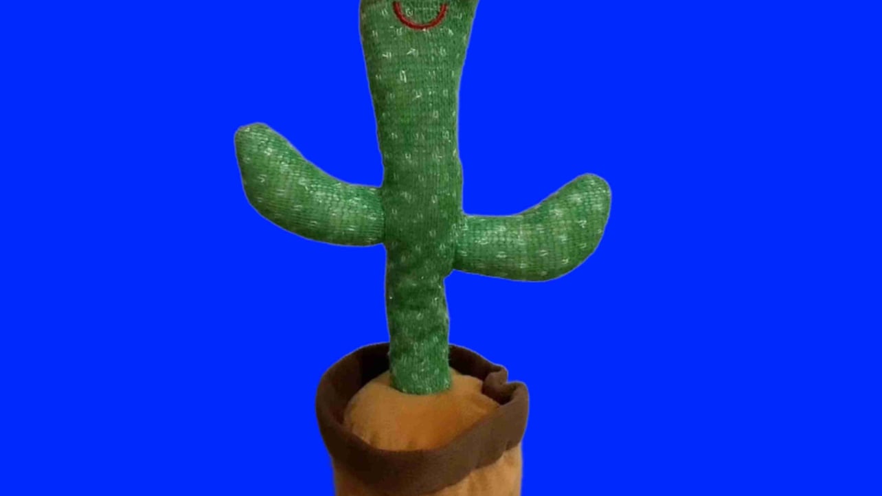 Cactus Toy pfp