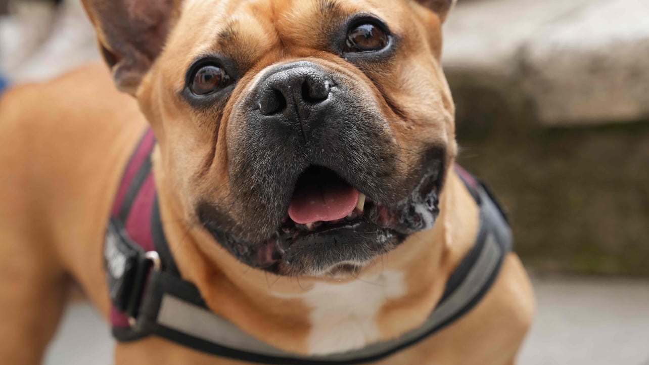 Aldrin (drinonft) Farcaster social identity (Fname handle) PFP