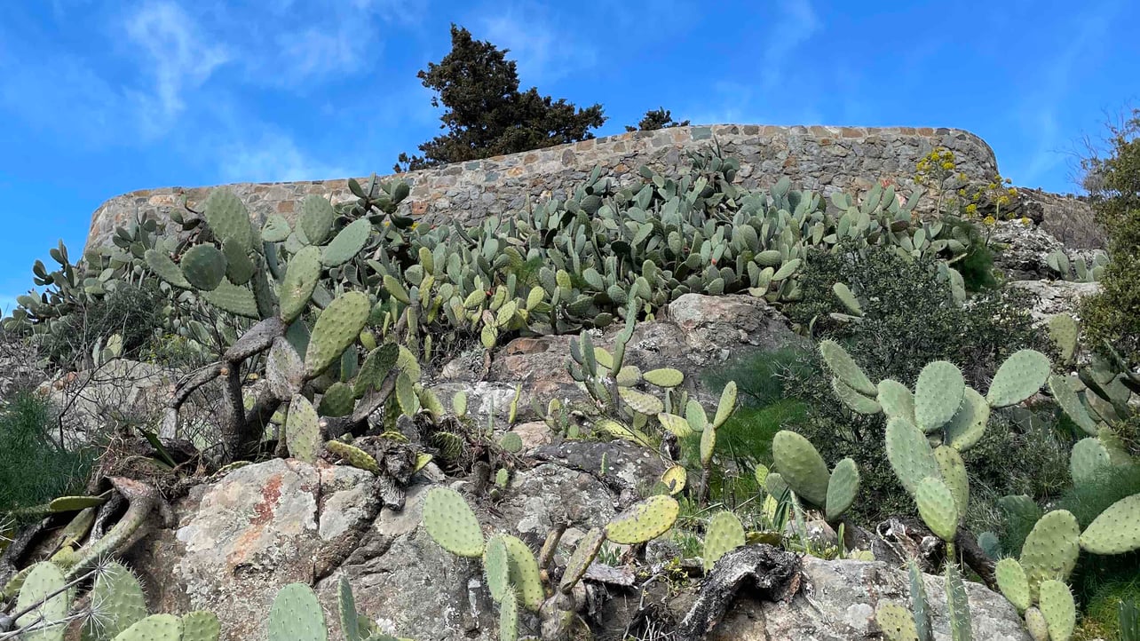 yaz (deezer.lens) Lens social identity (.lens handle) PFP