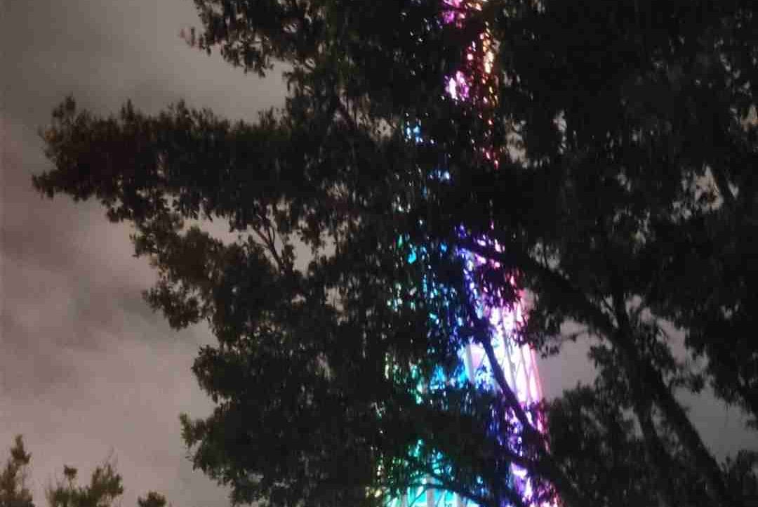 444526.lens Lens social identity (.lens handle) PFP