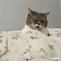 euuuugghhh