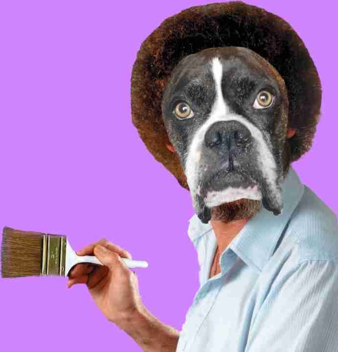 Dogg Ross pfp