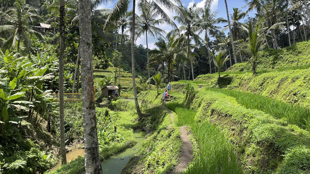 wrightgerrer (wrightgerrer.lens) Lens social identity (.lens handle) PFP