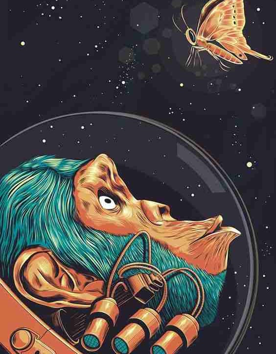 girbion.lens Lens social identity (.lens handle) PFP