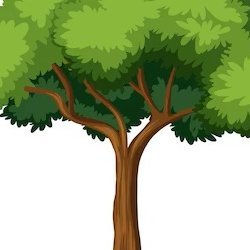 bienuuu (bienuuu.lens) Lens social identity (.lens handle) PFP