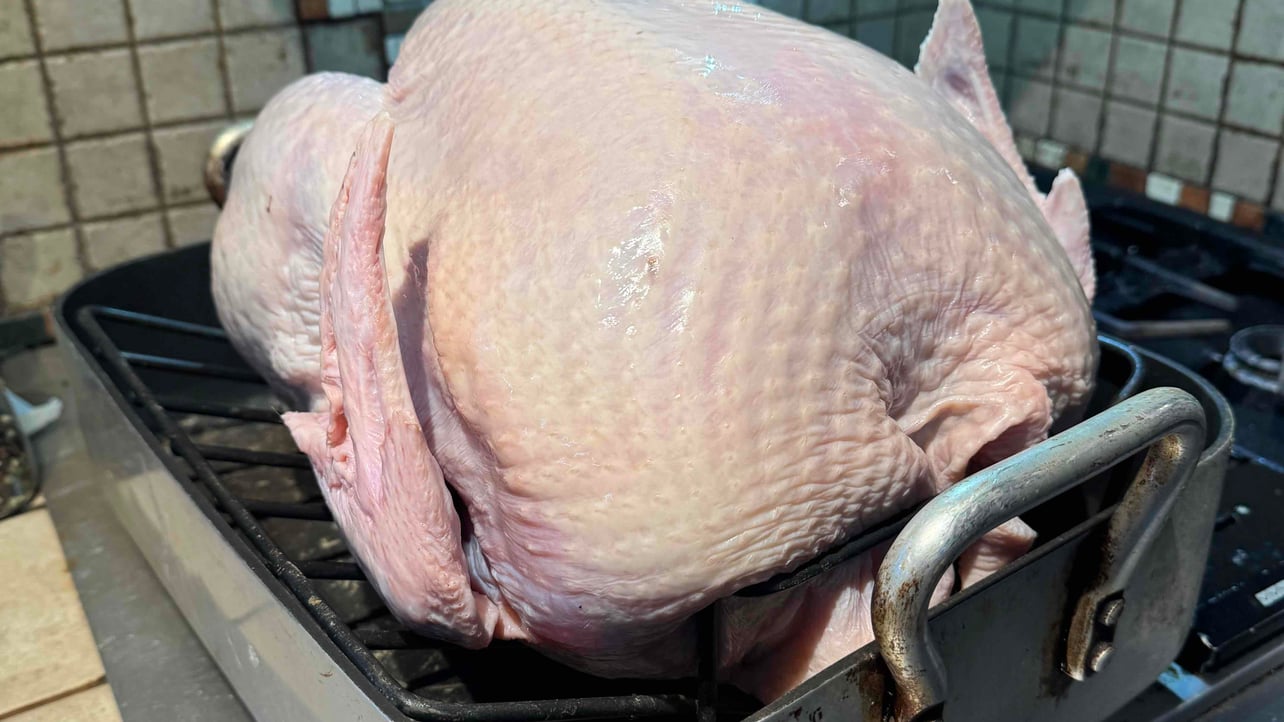 Marty (mcfly182) Farcaster social identity (Fname handle) PFP