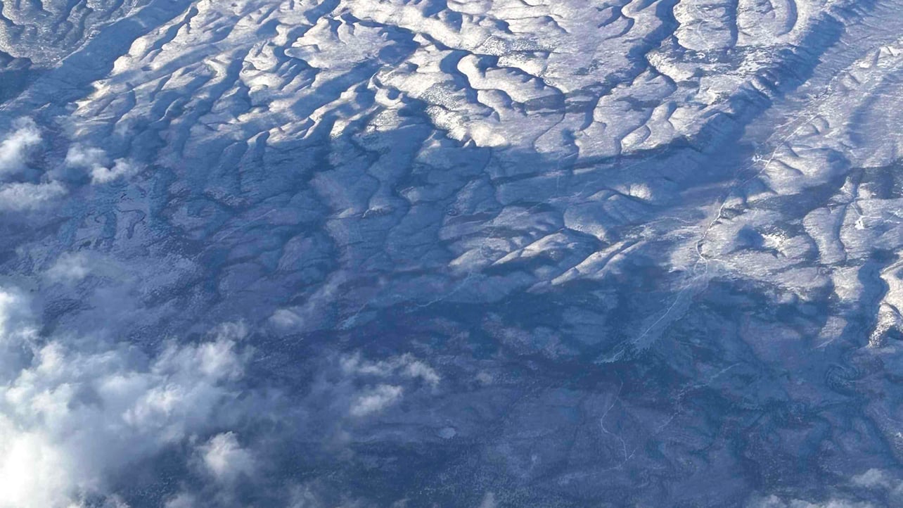 Bob (meowzer) Farcaster social identity (Fname handle) PFP