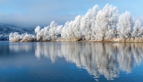 btyce (martinas) Farcaster social identity (Fname handle) PFP