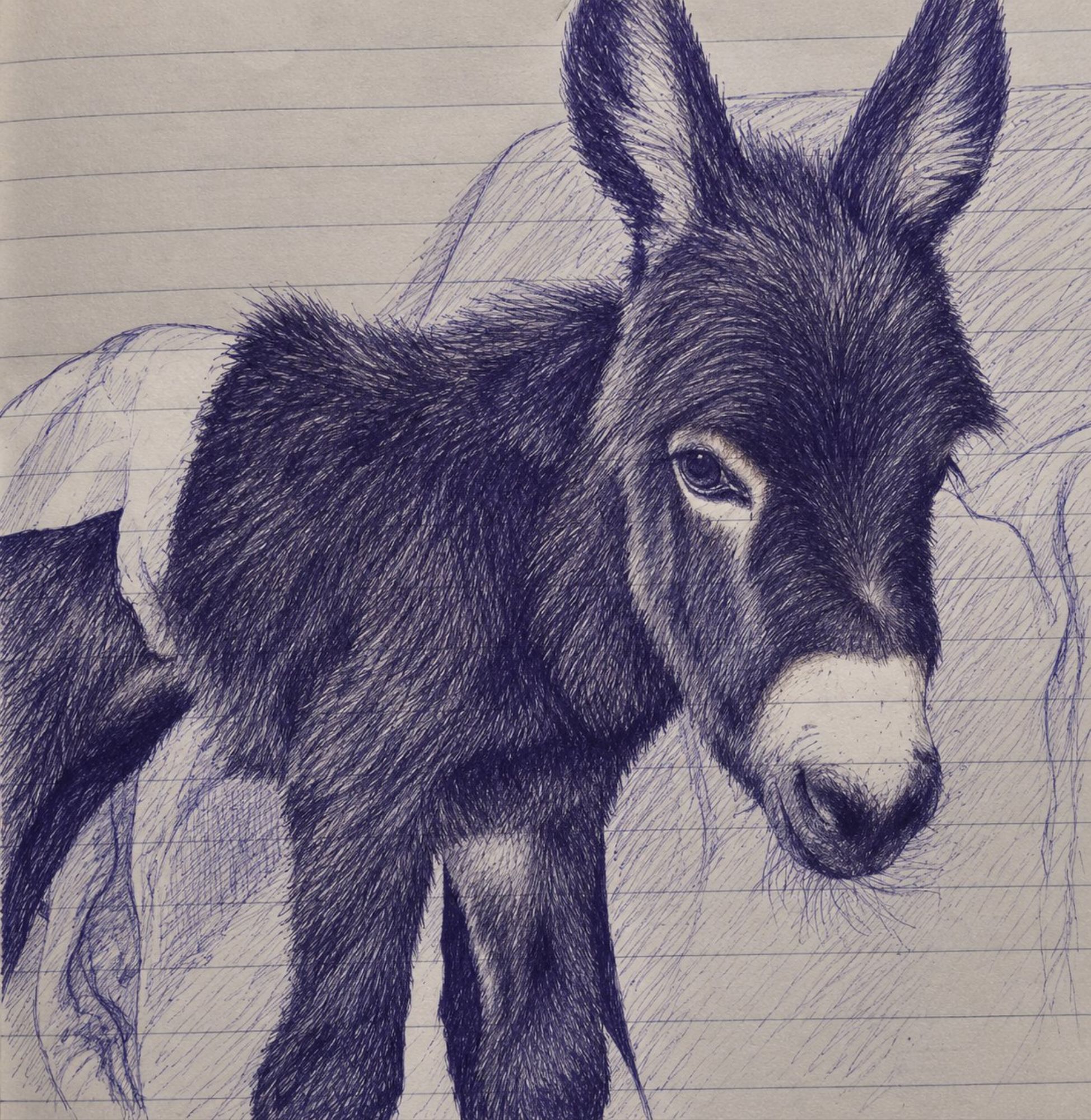 The Tiniest Donky