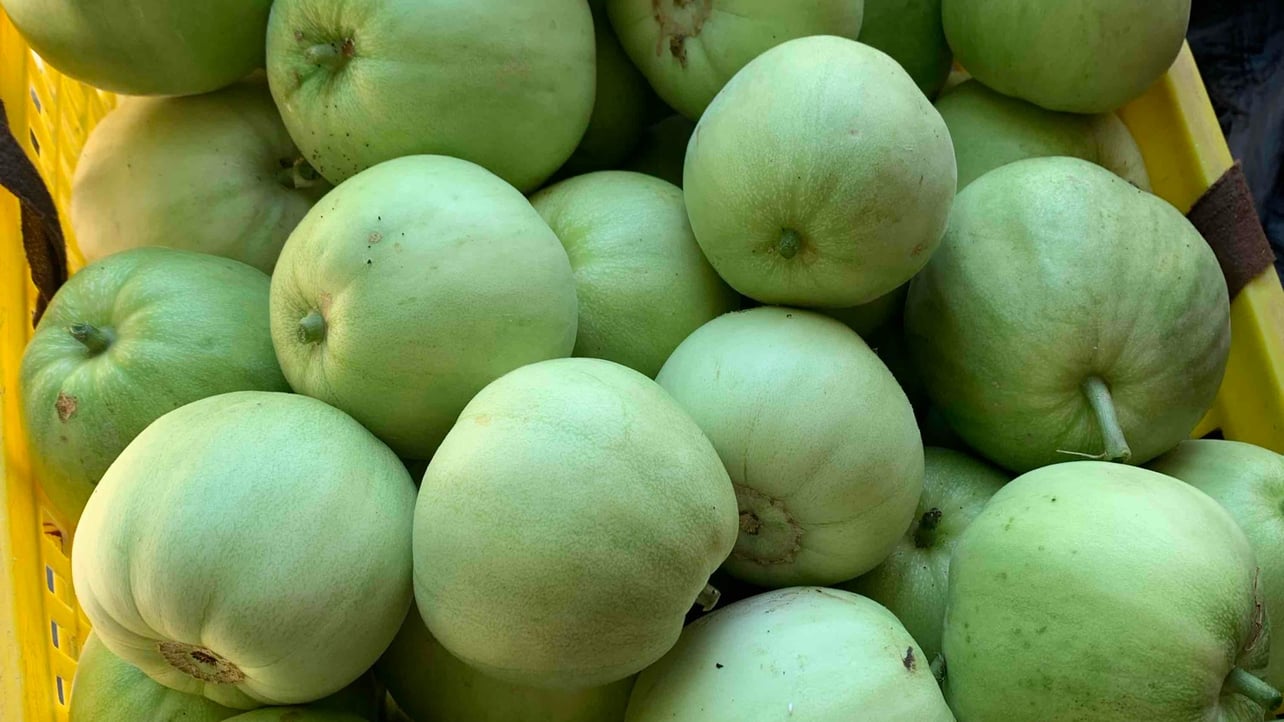 liuyulinaini.lens Lens social identity (.lens handle) PFP