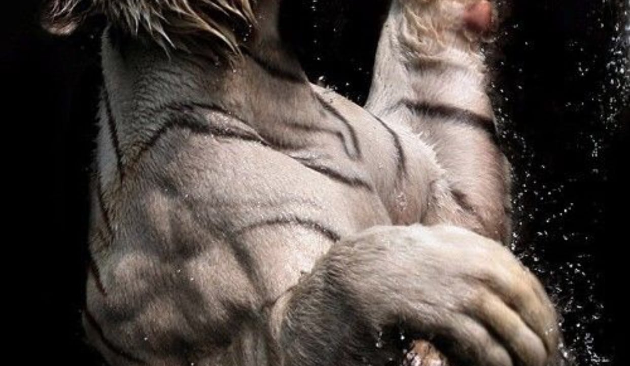 111key.lens Lens social identity (.lens handle) PFP