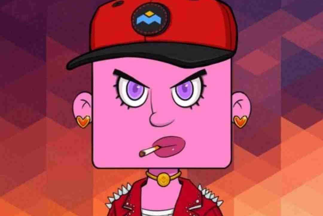 sarojinisamal13.lens Lens social identity (.lens handle) PFP