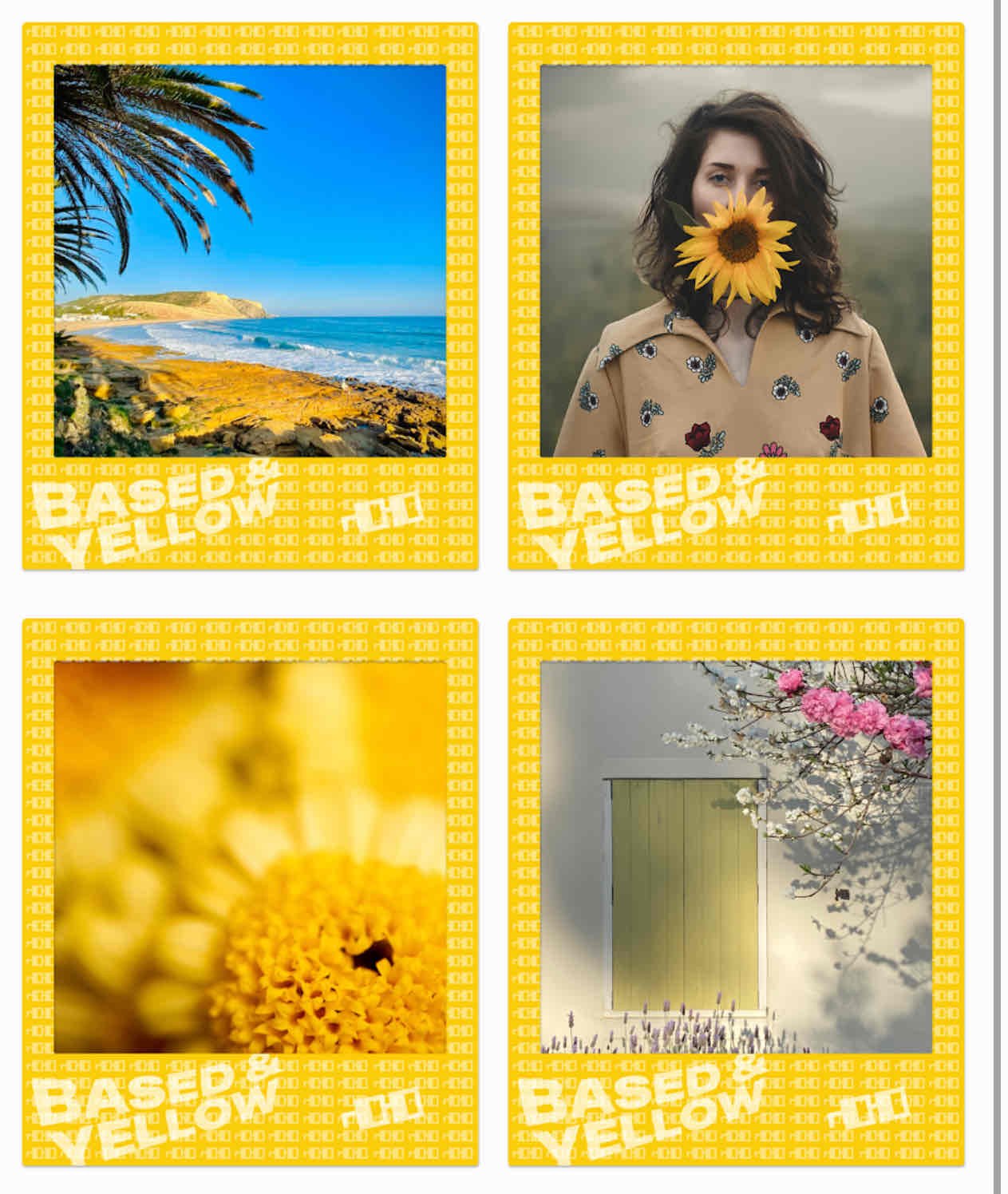 Embed from @manuwilliams