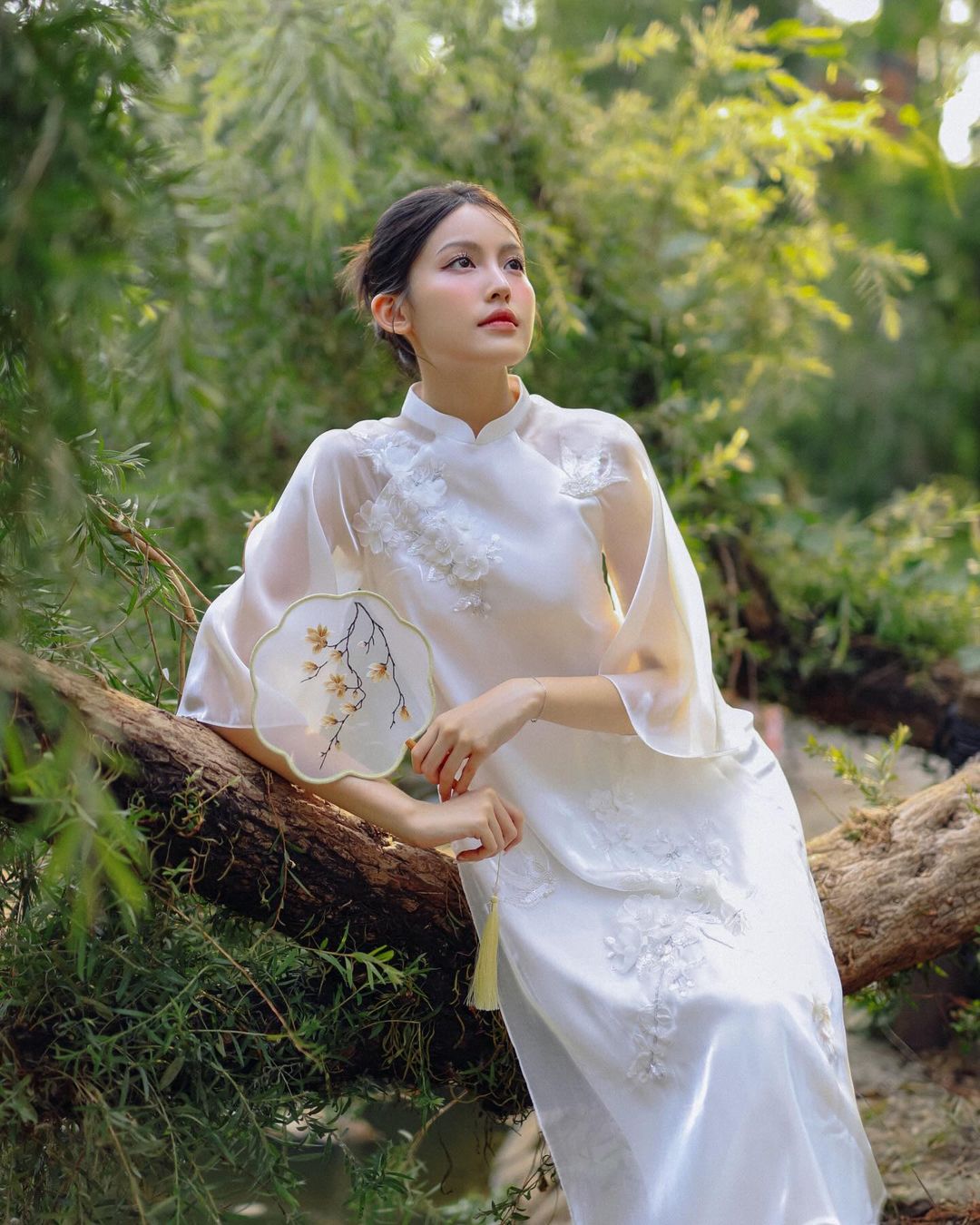 Trinh Nguyen pfp