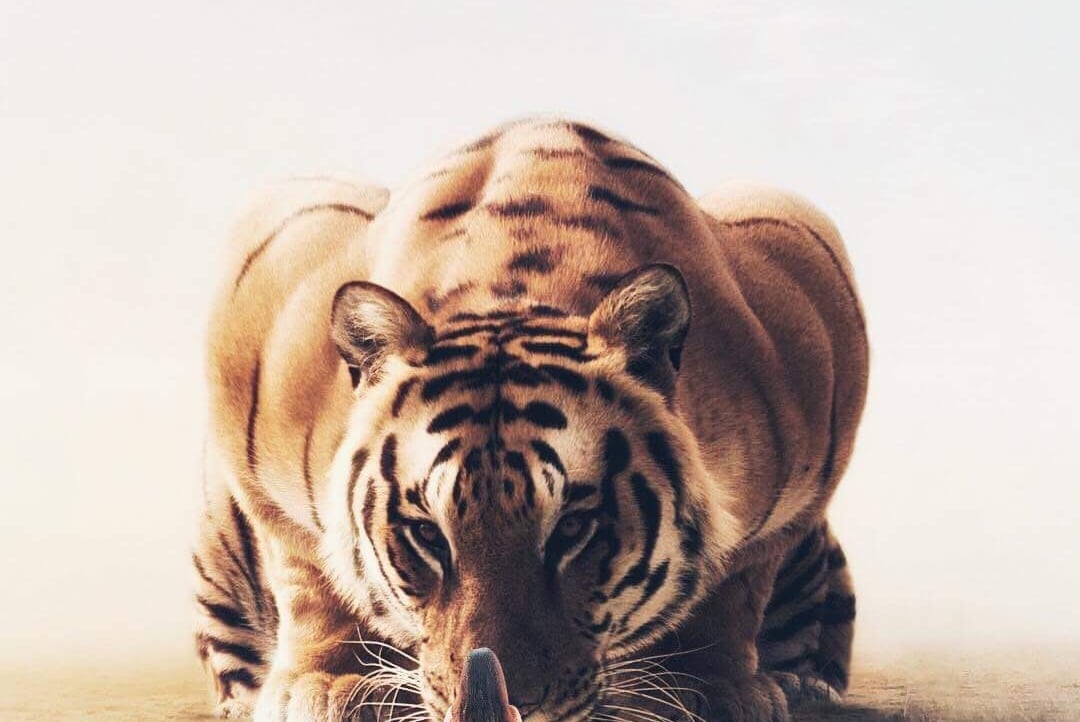 ichdung Farcaster social identity (Fname handle) PFP