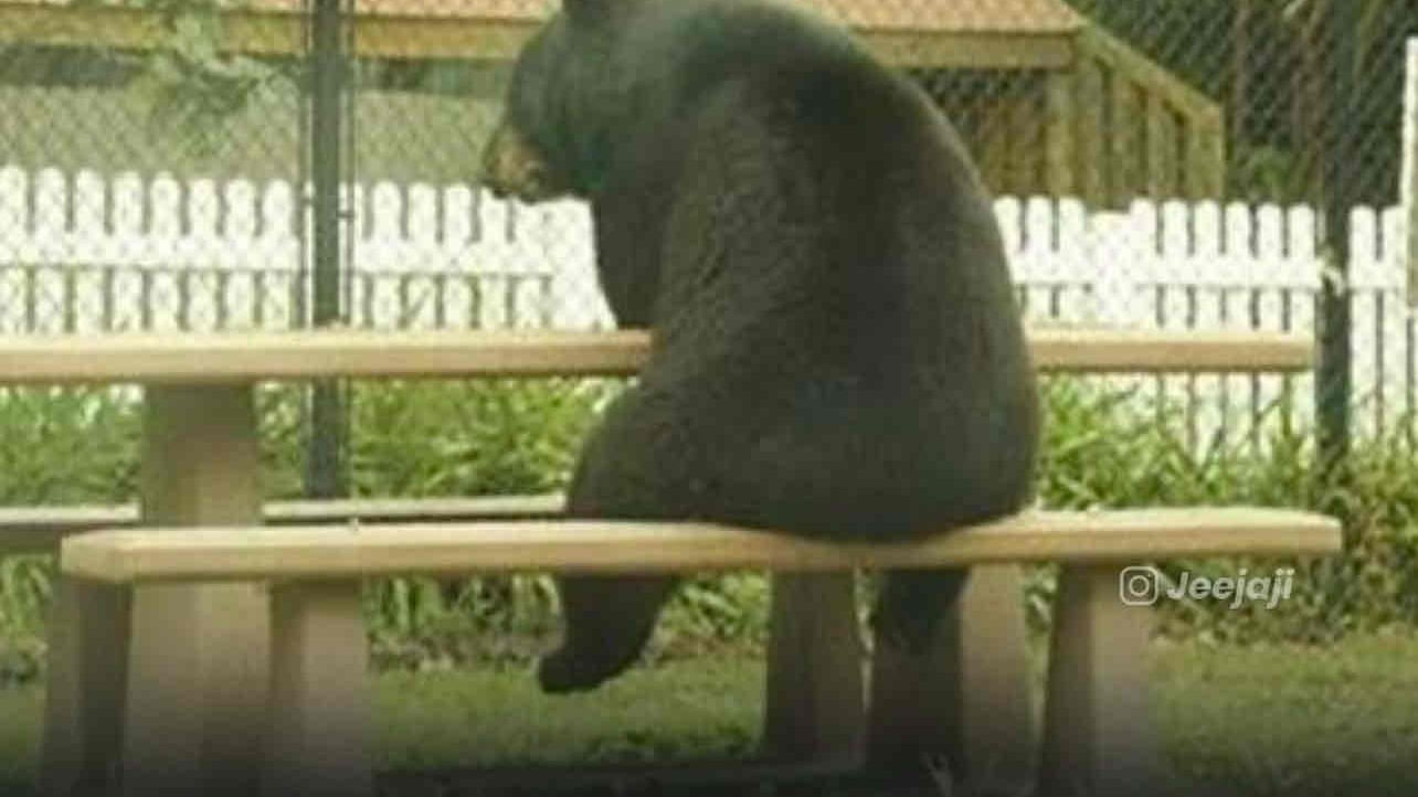 sparshsingh.base.eth Basenames (.base.eth domains) based on ENS PFP