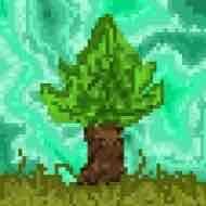 oxmarssax8.lens Lens social identity (.lens handle) PFP