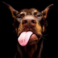 Drummer (vitvic) Farcaster social identity (Fname handle) PFP