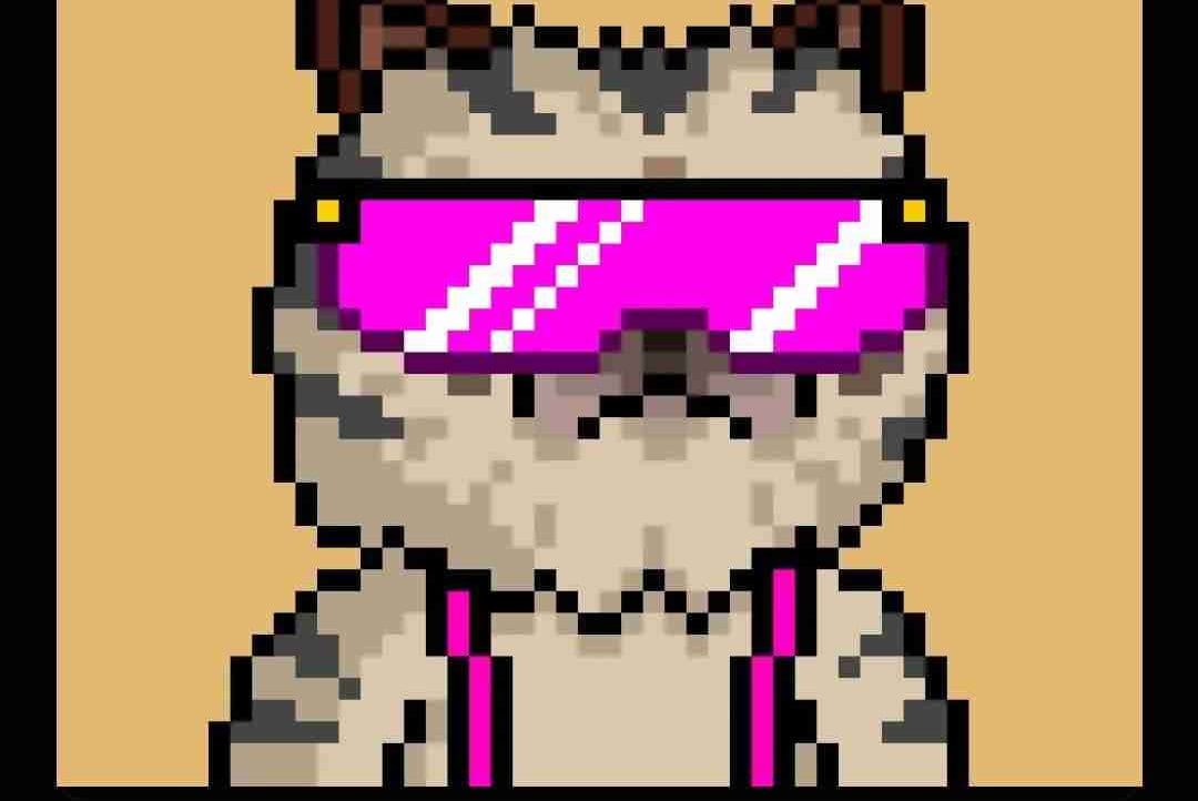 Halil's Farcaster avatar