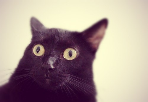 ssv base.eth (ssv82) Farcaster social identity (Fname handle) PFP