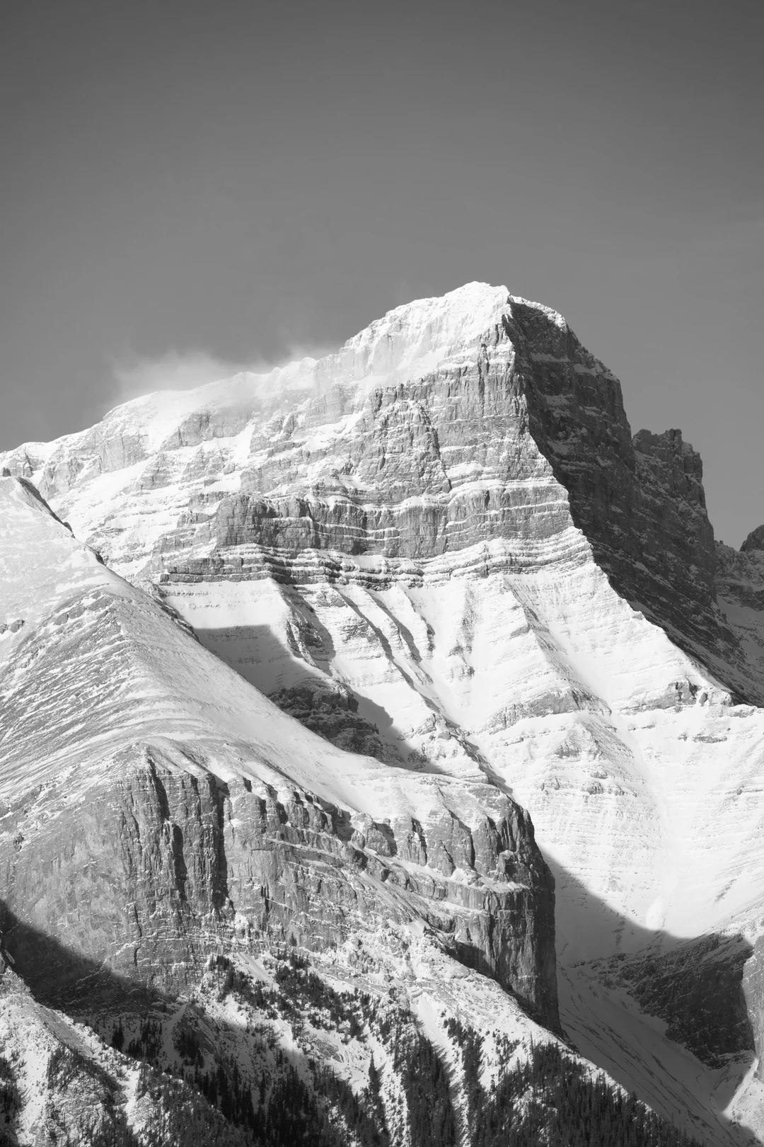 Cast image